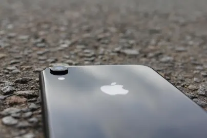 Casino Jungle Raja App Mobile